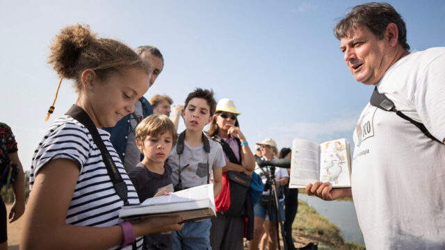 Take flight, at dbf!