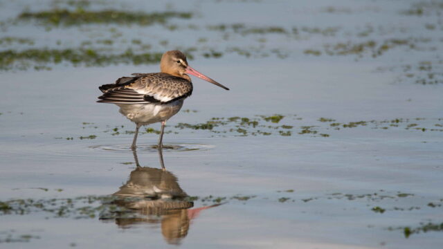 El paratge de Vilacoto – EXHAURIDA