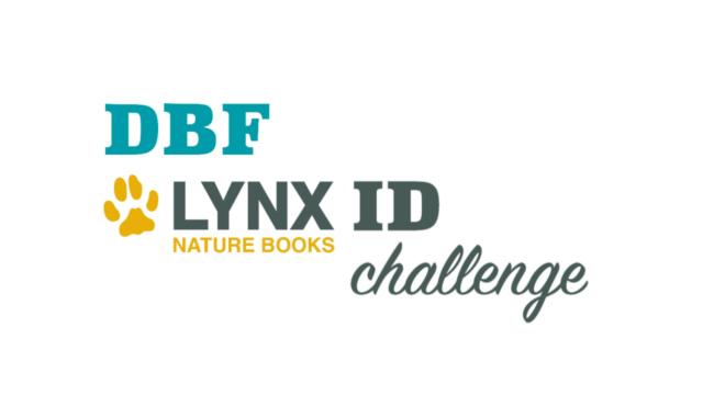 DBF Lynx ID Challenge