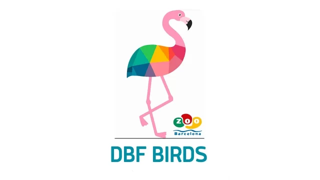 DBF Birds