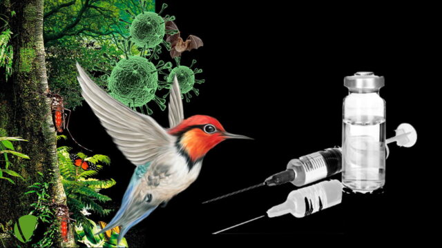 Nature is the vaccine