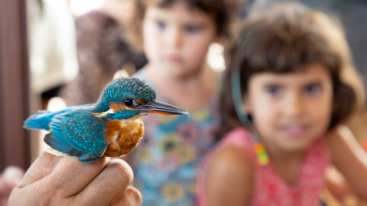 TallersInfantils_webdbf22_1