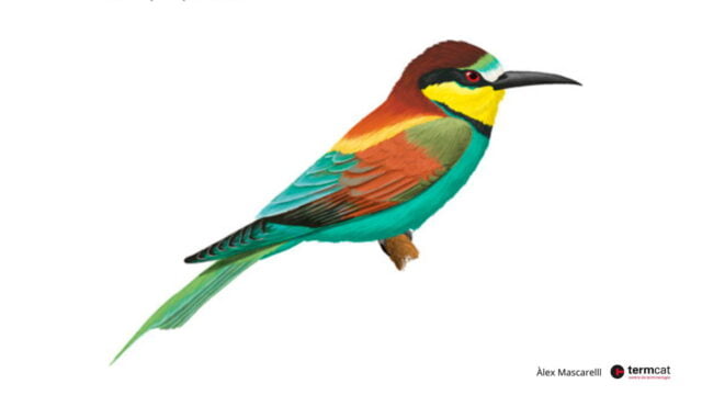 A high flying dictionary