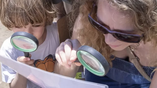 Las aves y las plumas – taller gratuito