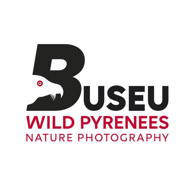BUSEU WILD PYRENEES