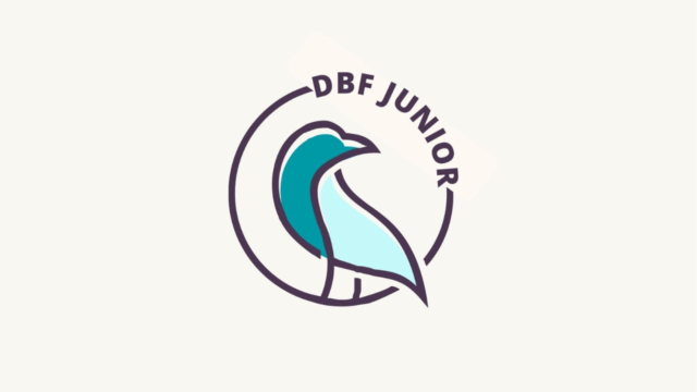 Second edition of the DBF Junior!