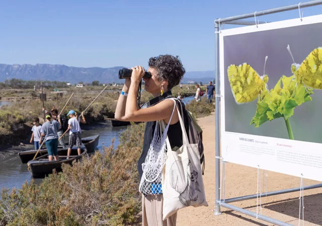 DBF 2023: OCELLS PER A TOTHOM - 0