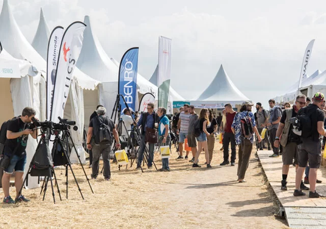 DBF 2023: OCELLS PER A TOTHOM - 0