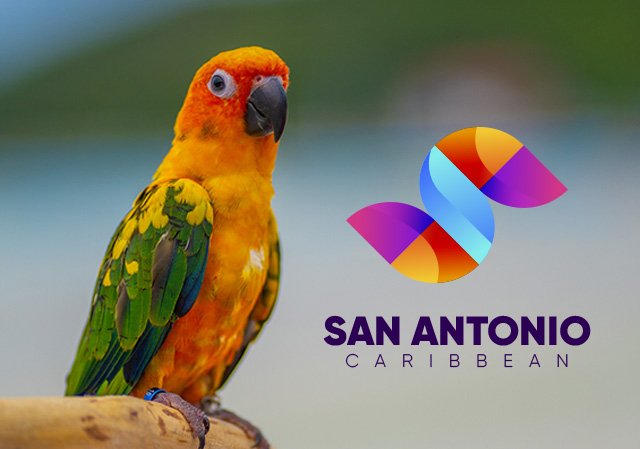 BANNER TEST - 2