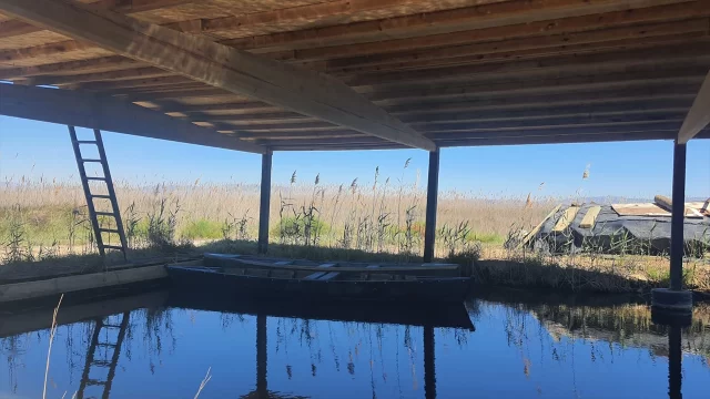 Delta Hot Spots- Finca Bombita – AGOTADA