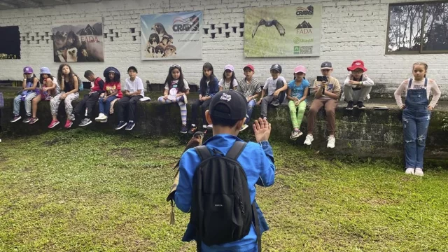 Thiago Birds – Ensenyant amb plomes (DBF Júnior)