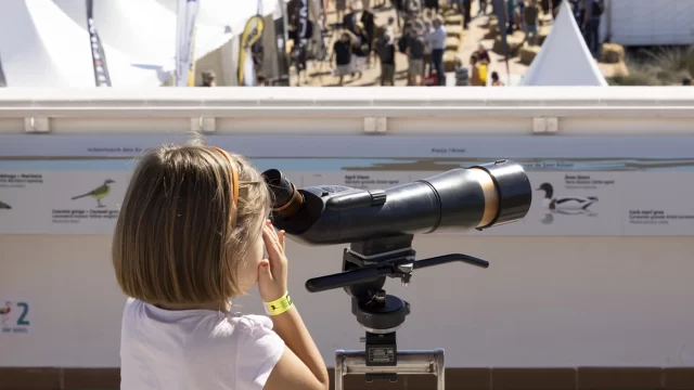 Aprenem a identificar ocells! – activitat gratuïta amb reserva de plaça