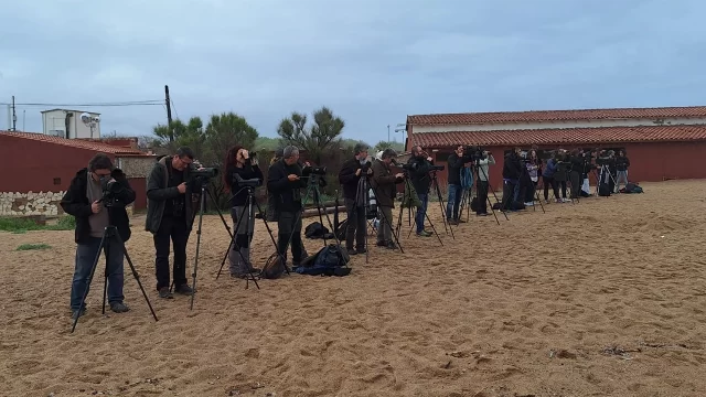 Marc Fusellas – SAM (Seguiment d’Aus Marines)