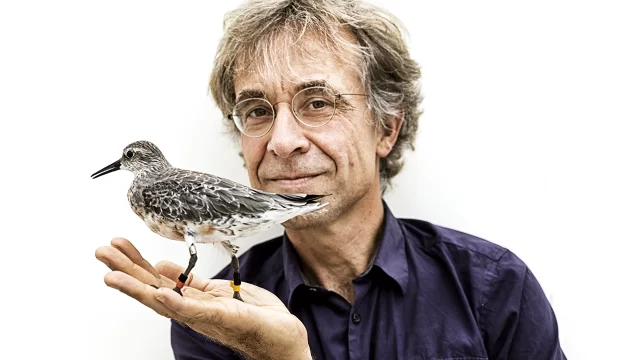 Jan Van Gils – Escalfament de l’Àrtic sentit pel Territ gros fins i tot als tròpics