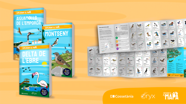 Oriol and Eduard Fontdevila and Francesc Kirchner – “Explorant el mapa” Cossetània guides presentation