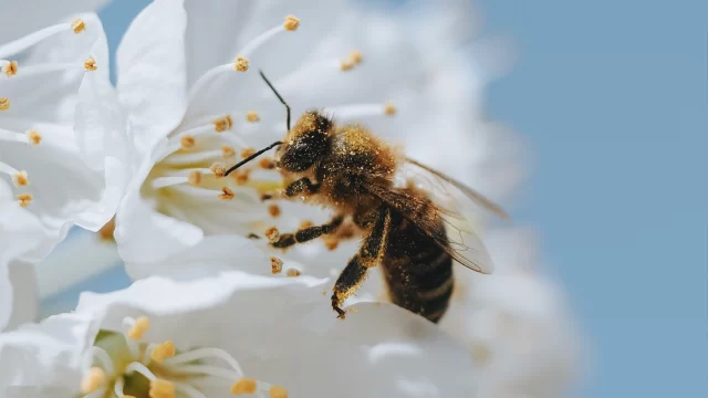 Actividad paralela OM SYSTEM – Salida macro con Martín García