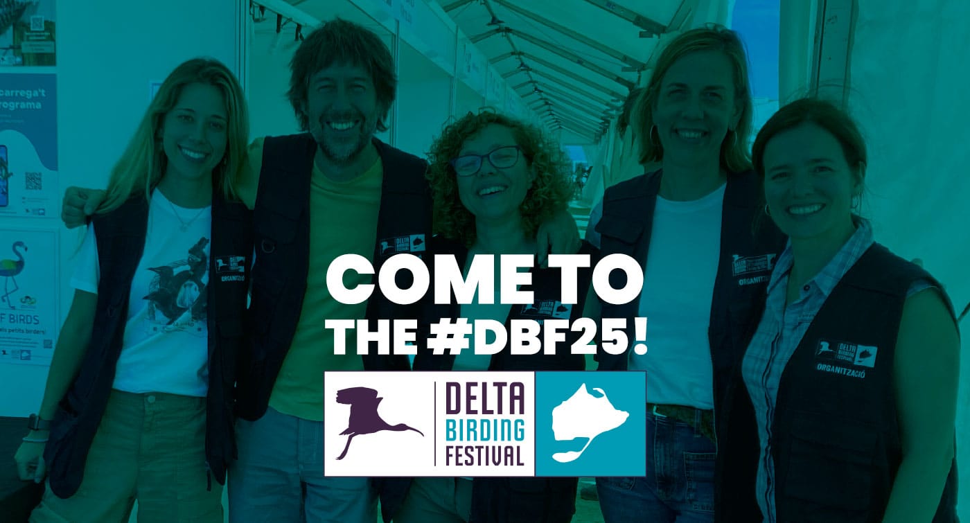 T'esperem al #DBF25!