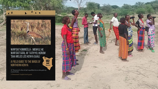 El Bird Club d’Ileret i la primera guia d’ocells del llac Turkana (Kenya): una experiència d’ornitologia comunitària