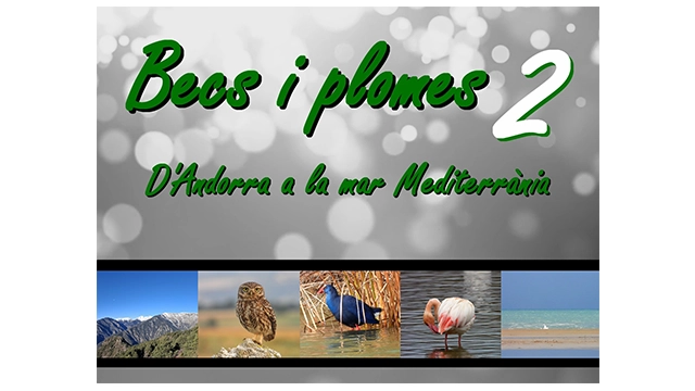 Becs i plomes 2: d’Andorra a la Mar Mediterrània