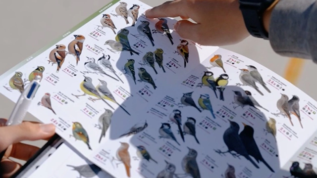 Garden Birds for Schools, Bringing Birds into the Classroom