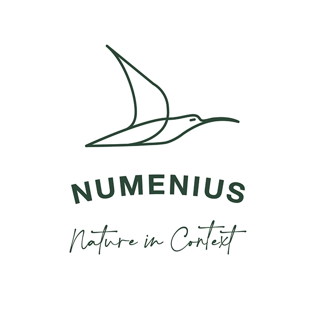 Numenius Tours