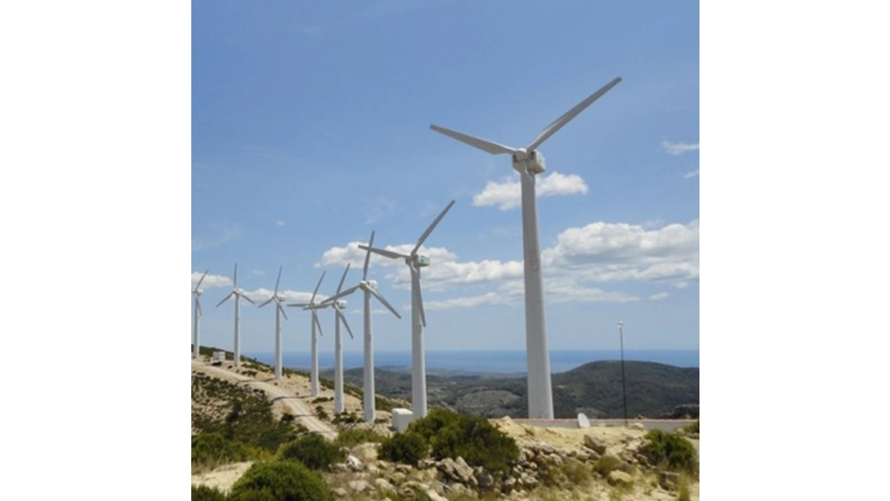 És compatible la conservació de l’avifauna amb les energies renovables?