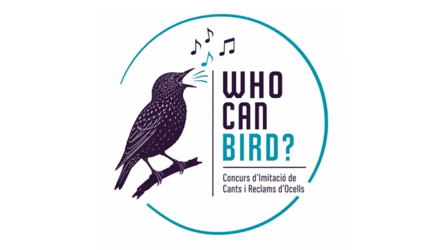 Who Can Bird?