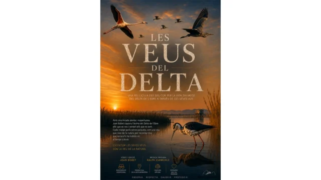 Les Veus del Delta