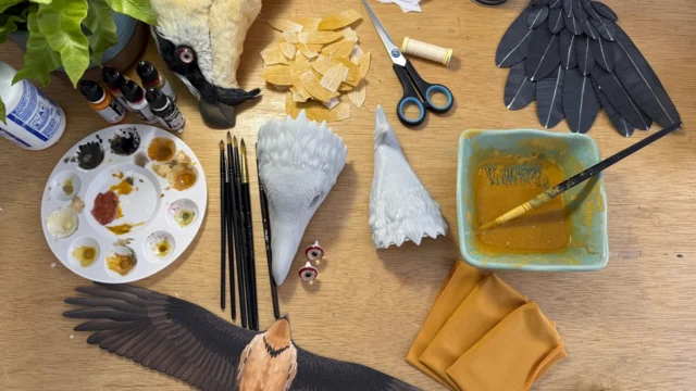 El arte como herramienta de conservación